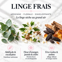 Parfum de linge - Parfum de lessive Linge Frais